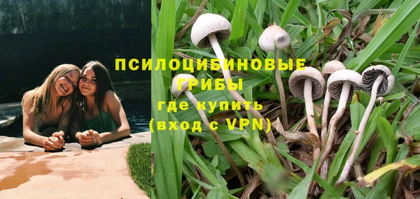 тгк Надым